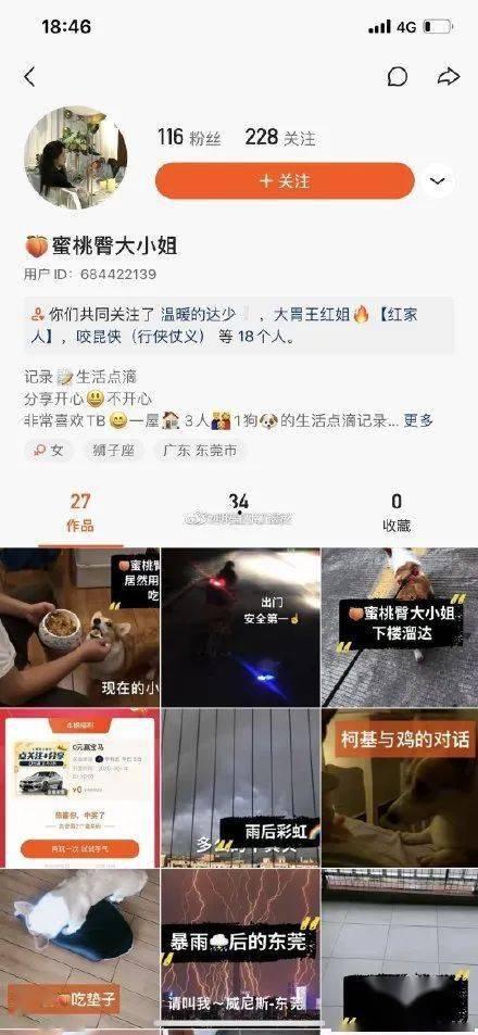 辛巴爆料完整版视频下载,揭秘背后真相与惊人内幕 第2张 辛巴爆料完整版视频下载,揭秘背后真相与惊人内幕 第2张